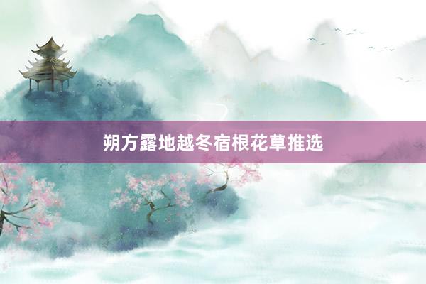朔方露地越冬宿根花草推选